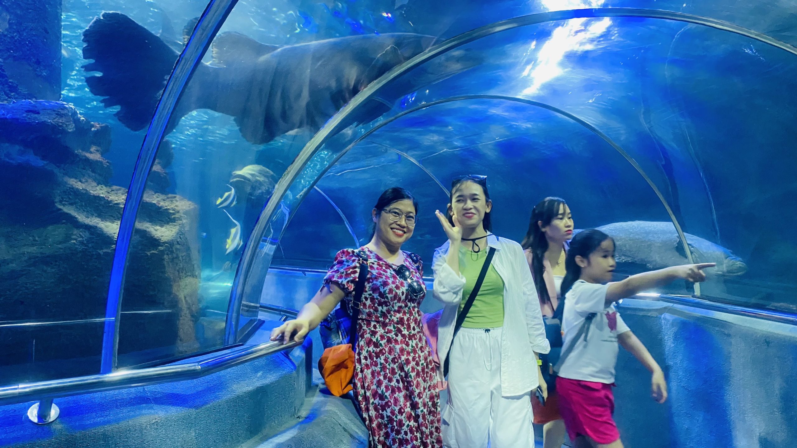 z5616666438357_27b4e769cc462ff5853b89857cb4548e